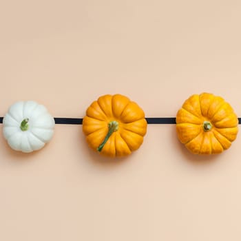 Creative Top view flat lay autumn composition. Frame concept pumpkins color paper background copy space. Square template fall harvest thanksgiving halloween anniversary invitation cards
