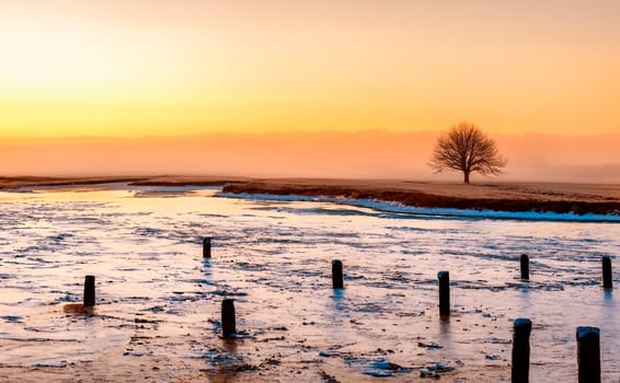 A misty sunrise over a rural winter landscape in the countryside of Dorset in the south of England.