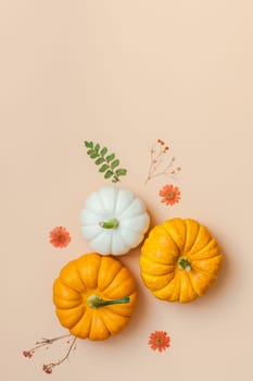 Creative Top view flat lay autumn composition. Frame made of pumpkins dried flowers leaves color paper background copy space. Template fall harvest thanksgiving halloween anniversary invitation cards