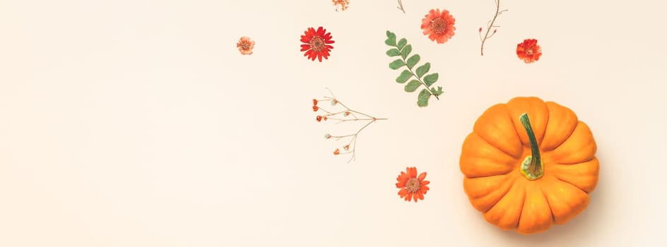 Creative Top view flat lay autumn composition Pumpkins dried flowers leaves color paper background copy space Template fall harvest thanksgiving halloween anniversary invitation cards Long wide banner