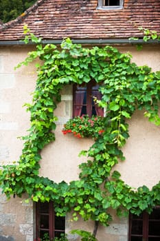Overgrown wall of residential building facade with a windows in a small french village