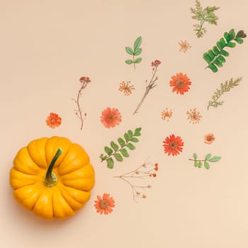 Creative Top view flat lay autumn composition. Pumpkins dried flowers leaves color paper background copy space. Square Template fall harvest thanksgiving halloween anniversary invitation cards