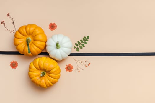 Creative Top view flat lay autumn composition. Frame made of pumpkins dried flowers leaves color paper background copy space. Template fall harvest thanksgiving halloween anniversary invitation cards