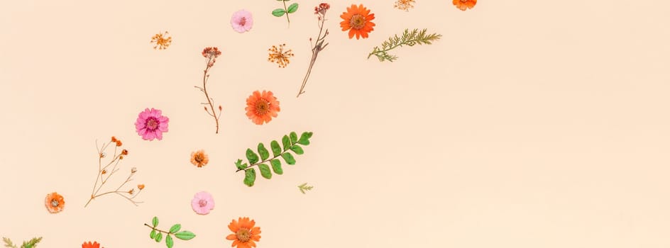 Creative Top view flat lay autumn composition. Dried flowers and leaves on color paper background with copy space. Template for fall harvest wedding anniversary invitation cards Long wide banner