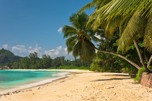Tropical beach at Mahe island Seychelles. Horizontal shot