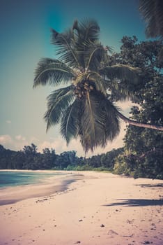 Tropical beach at Mahe island Seychelles. Vertical filtered shot