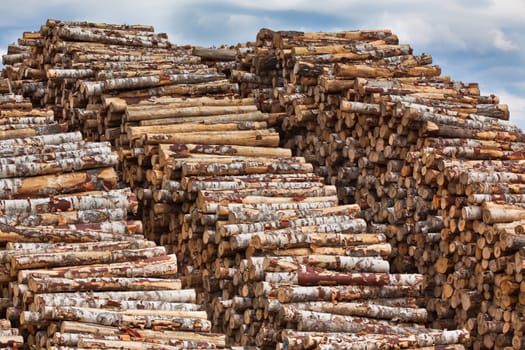 Big pile of logs on a dull sky background. Horizontal shot