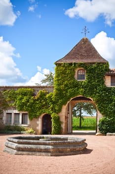Overgrown residential building and its yard in the Southern France