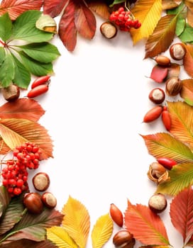 Colorful frame for autumn greetings or advertising.