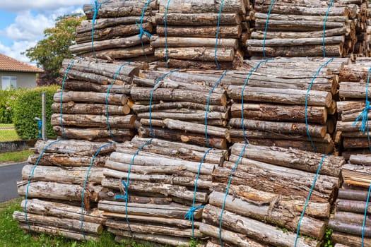 Big pile of wood logs on a rural background