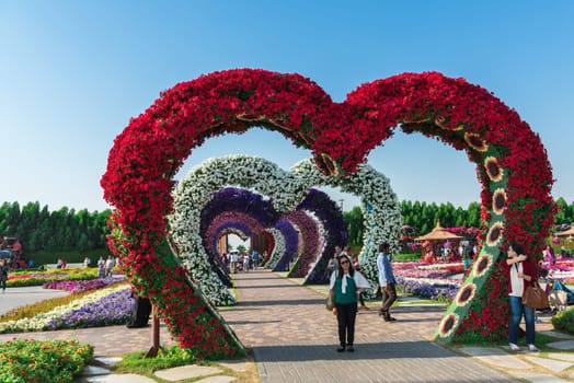 UAE, DUBAI - DECEMBER 30: dubai miracle garden with over million flowers on a sunny day December 30, 2014