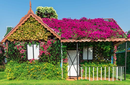 UAE, DUBAI - DECEMBER 30: dubai miracle garden with over million flowers on a sunny day December 30, 2014