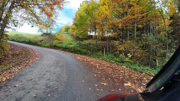 Wet fall leaves on the road can be dangerous for motorcycles