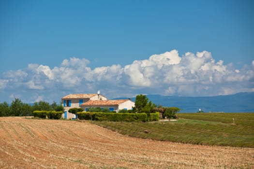 Farmhouse in a harvested lavender field, Valensole, Provence, France
