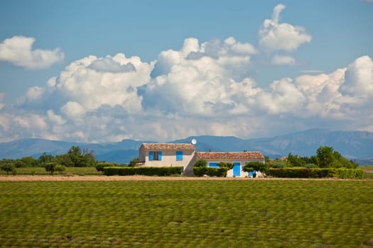 Farmhouse in a harvested lavender field, Valensole, Provence, France