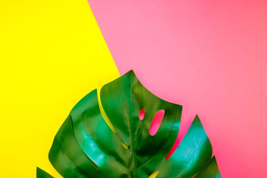 Tropical jungle palm monstera leaves on bright yellow and pink paper background. Summer creative pop art flat lay concept template for text