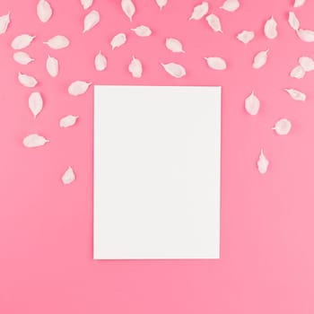 Creative flat lay concept top view of blank postcard mock up and apple tree flowers petals on square pastel pink background with copy space in minimal style, template for text