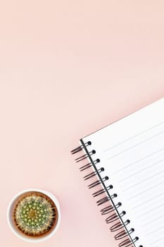 Top view flat lay of workspace desk styled design office supplies and cactuses succulents with copy space millennial pink color paper background minimal style. Template for feminine blog social media
