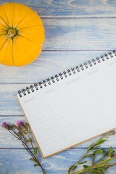 Top view of autumn orange pumpkins and dry flowers with grass thanksgiving background over blue toned wooden table with blank timetable mock up and copy space in rustic style, template for text