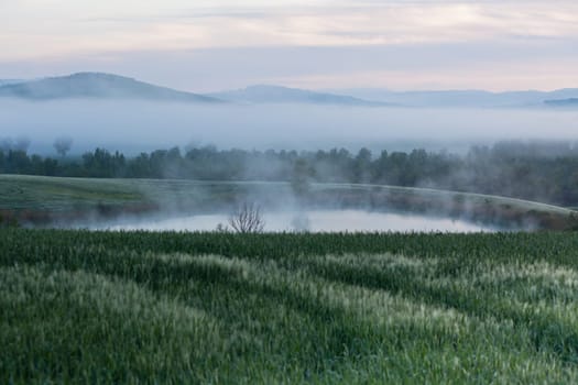 Morning fog view at Valley d?Orcia in Tuscany, Italy.