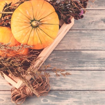 Square Top view of autumn orange pumpkins and dry flowers and grass in box thanksgiving background over blue toned wooden table with copy space. Template for fall harvest mood text