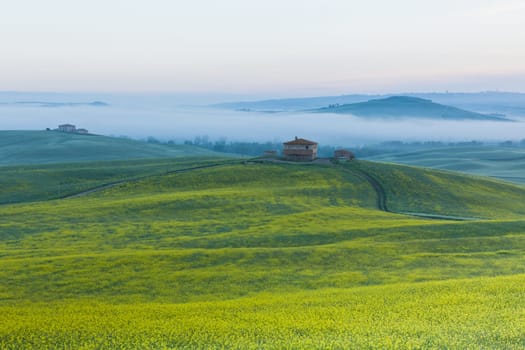 Morning fog view on farmhouse at Valley d?Orcia in Tuscany, Italy.