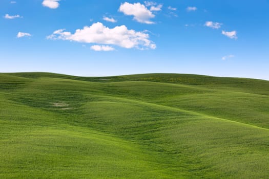Outdoor Tuscan hills landscape. Horizontal shot