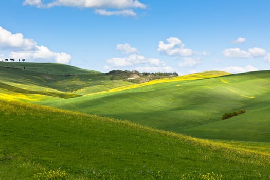 Outdoor Tuscan Val d'Orcia green and yellow fields view with blue sky