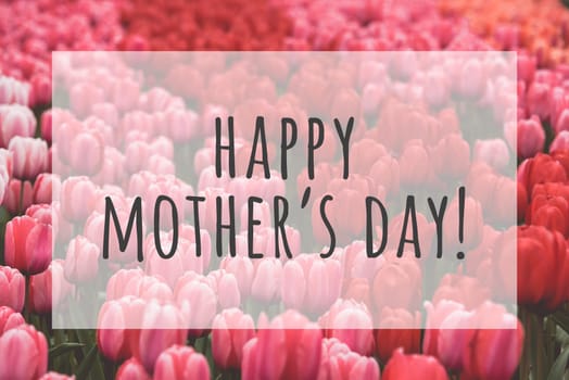 Happy mothers day text on blurred flowers background