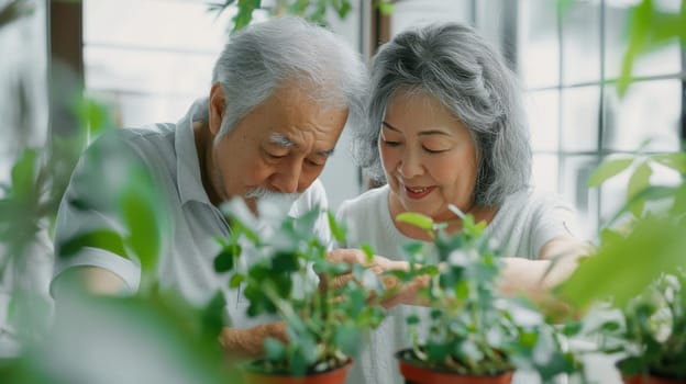 Couple caring houseplants at home. Asian mature man and woman with green plants. AI Generated