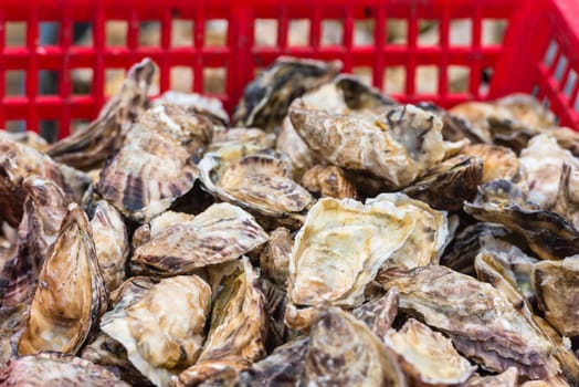 Oysters market in Cancale, Brittany, France. Shot with a selective focus