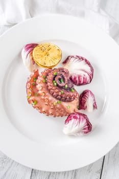 Portion of grilled Octopus with lemon and lettuce