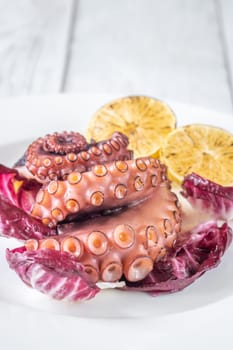 Portion of grilled Octopus with lemon and lettuce