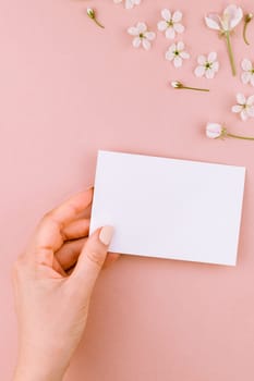 Creative flat lay concept top view of blank letter envelope and spring cherry tree flowers on millennial pink background with copy space in minimal style, template for celebration, valentine cards