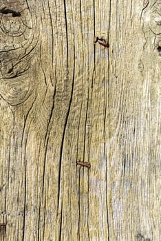 Old wooden planks surface background. shabby texture