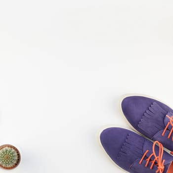 Square Flat lay of trendy suede shoes and cactus on white background with copy space. Overhead view of woman casual outfit. Trendy hipster look top view