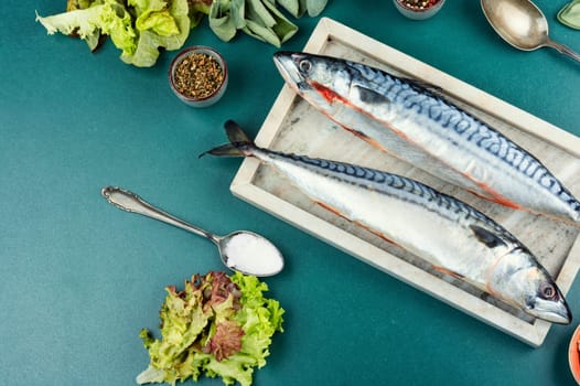 Whole raw organic fish mackerel with ingredients for cooking. Top view.
