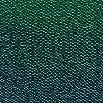 An abstract pattern of green ovals arranged in a grid formation. The ovals are slightly uneven and create a textured effect. High quality photo