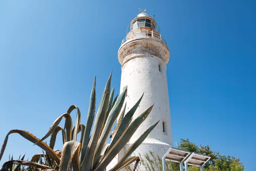 The whitewashed Paphos lighthouse is standing tall against a clear blue sky, with a large agave plant in the foreground. Cyprus
