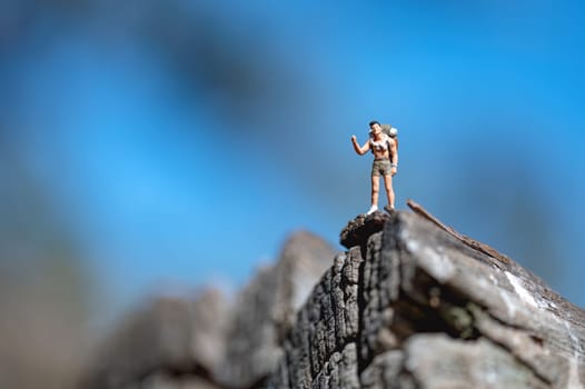 Miniature backpacker is standing on a rock celebrating reaching the top of a mountain