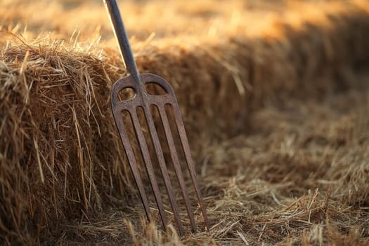 Close-up of an old rusty pitchfork standing in a golden hay field during harvest time, capturing the essence of farm life and manual labor.