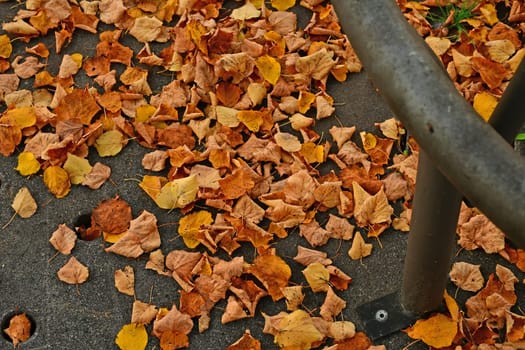 autumnal colored leaves on a street with an iron grid