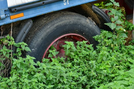 truck forgotten in a meadow