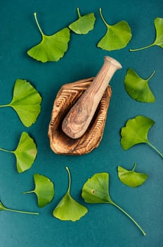 Medicinal leaves from the ginkgo biloba tree and yellow nuts. Mortar and pestle.