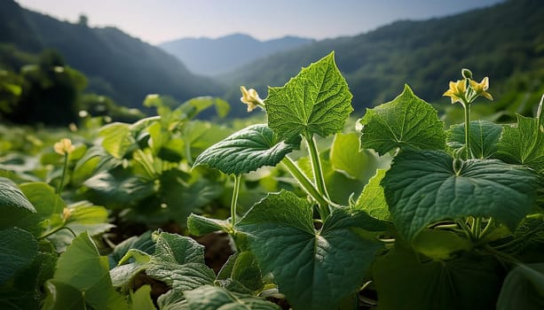 field of cucumber plants, AI generated image