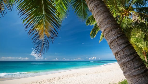 tropical beach landscape with palm trees by the sea
