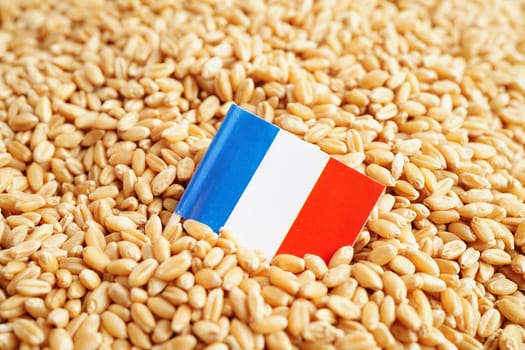 France flag on grain wheat, trade export and economy concept.