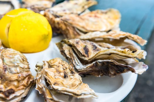 A dozen oysters and a lemon on a plastic plate eating outdoors near the sea