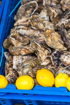 Oysters market in Cancale, Brittany, France. Shot with a selective focus