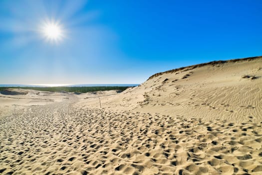 Beautiful calm view of nordic sand dunes and protective fences at Curonian spit, Nida, Klaipeda, Lithuania. Buried wood, desert and sand, sunny blue sky. Sand patterns